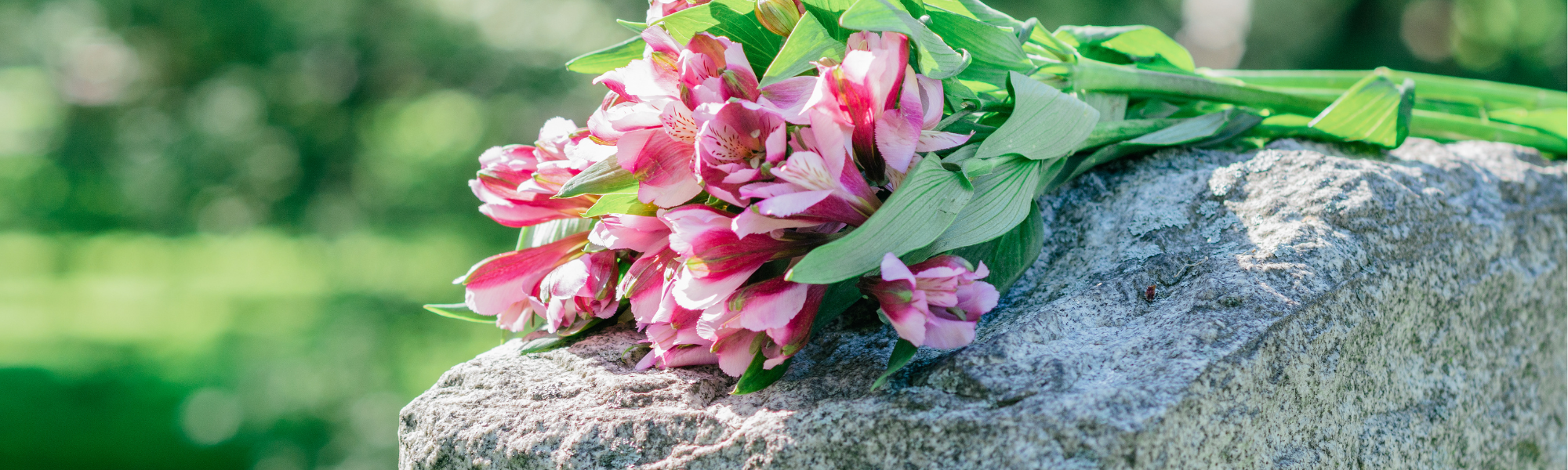 headstone with pink flowers